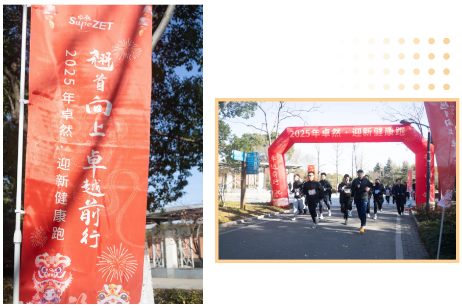 回望2024 启航2025 | Z6·尊龙凯时股份2025年度战略年会顺利召开